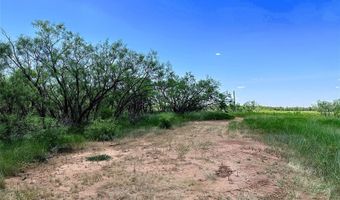 TBD East Tract County Road 356, Anson, TX 79501