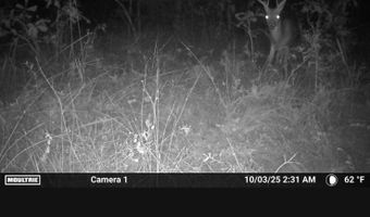 N80 Helt Rd, Antlers, OK 74525