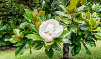 169 Waipalani Rd, Haiku, HI 96708