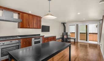720 W Hopkins Ave Unit D, Aspen, CO 81611