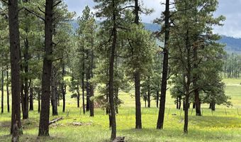 1 A FOREST ROAD 26, Alpine, AZ 85920