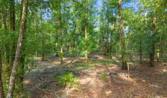 6679 NW 27th Pl, Bell, FL 32619