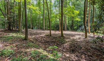 1034 Chestnut Flats Rd, Andrews, NC 28901