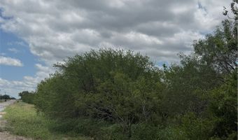 County Road 137, Alice, TX 78332