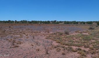 Tbd Ranch of the White Mountains10, Concho, AZ 85924