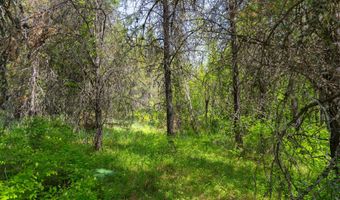 Nna Moyie River Rd, Bonners Ferry, ID 83805