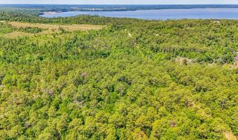 93 Acres Dell Rd, Bainbridge, GA 39819