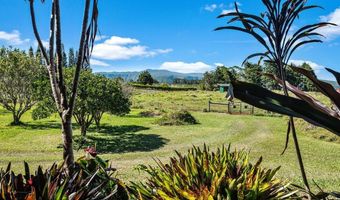 47-5254 WAIKOEKOE Ln, Honokaa, HI 96727