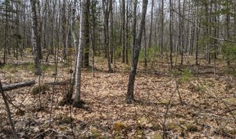 Arrowsic Road, Arrowsic, ME 04530