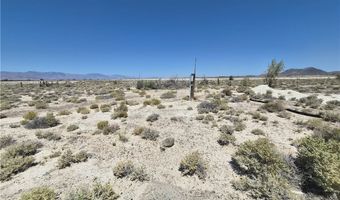 11545 S Spring Meadows Rd, Amargosa Valley, NV 89020