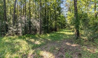 18035 A LA TUNG Rd, Covington, LA 70435