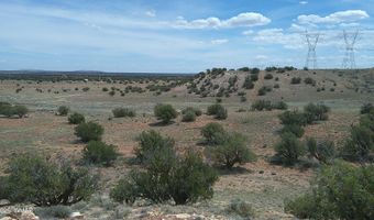 98 N9222, Concho, AZ 85924