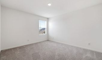 874 Barnacle Ct, Adkins, TX 78101