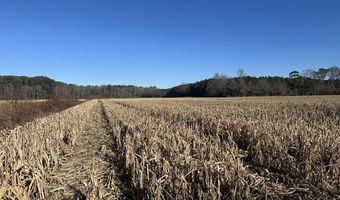 0 Bivalve Lodge Rd, Bivalve, MD 21814