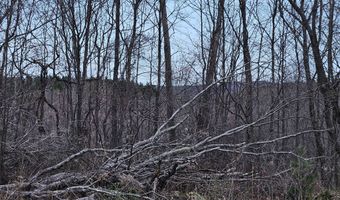 295 Shellstone Rd, Amsterdam, NY 12010