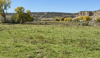 ROAD 4599, Blanco, NM 87412
