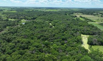 23740 Hickory Ave, Allison, IA 50602