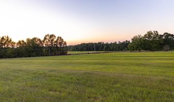 100 Acres Harmony Church Rd, Andalusia, AL 36421