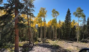 377 N Upper Meadow Dr, Beaver, UT 84713