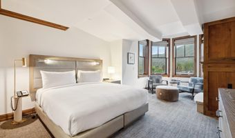 415 E Dean St. Unit 30 Week 9, Aspen, CO 81611