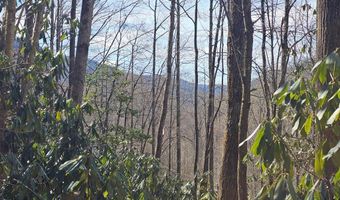 Warrior Way lot 16, Andrews, NC 28901