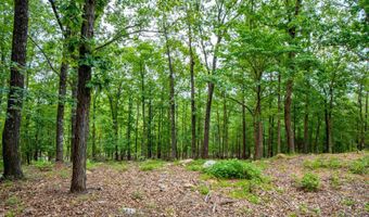 100 Block SPANISH MINE, Jessieville, AR 71909