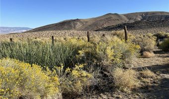 SAND SPRINGS Road, Dyer, NV 89010