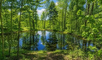 Rock House Hollow Pvt Ct, Bethpage, TN 37022