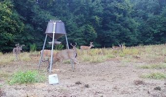 TBD County Road 40, Abbeville, AL 36310