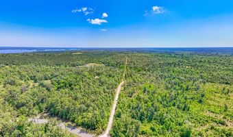 93 Acres Dell Rd, Bainbridge, GA 39819