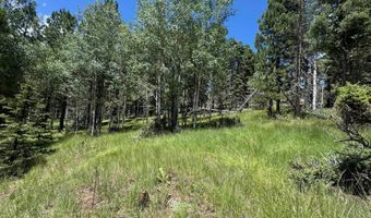Calle de los Indios lot 44, Angel Fire, NM 87710