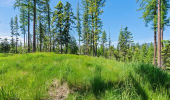 500 Wild Swan Trl, Bigfork, MT 59911