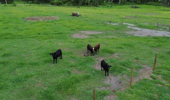 7211 SW GROVE Dr, Arcadia, FL 34266