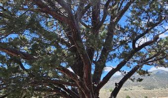 202 Kingston Rd, Austin, NV 89310