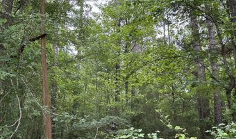 Lot 3a Elberton Highway, Lincolnton, GA 30817
