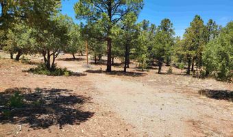14 Steelhead Rd, Bluewater, NM 87323