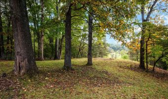 477 GIDSVILLE Rd, Amherst, VA 24521