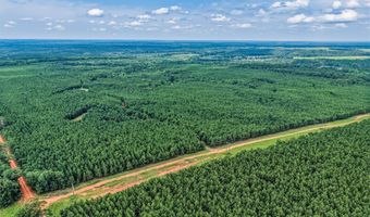 Harry Priddy Road, Americus, GA 31719