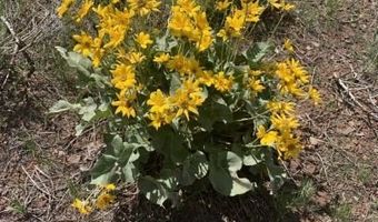 Lot 35 Pyramid Rd, Alturas, CA 96101