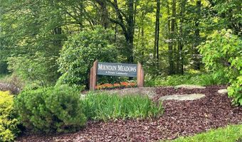 49 Dandelion Ln, Banner Elk, NC 28604