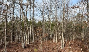 Cunningham Road, Bradley, SC 29819