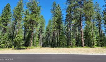 NNA Lot 4 TJ Trail, Athol, ID 83801