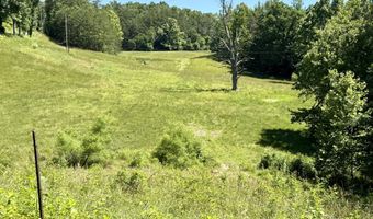 1235 Long Branch-Land, Beattyville, KY 41311