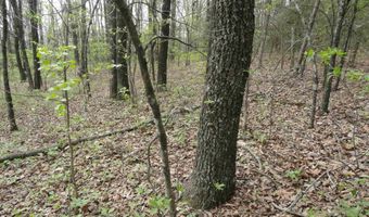 Long Branch Lane, Bee Branch, AR 72013