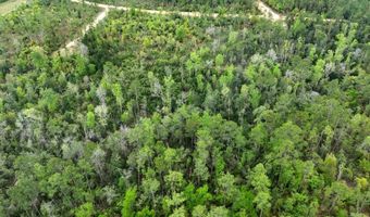 CASTLE CIRCLE, Alford, FL 32420