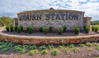 313 Brook Landing Cir, Auburn, GA 30011