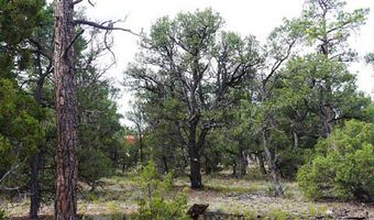 Blue water, Bluewater, NM 87005