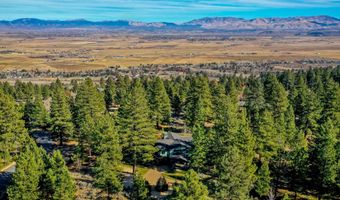 229 Five Creek Rd, Gardnerville, NV 89460
