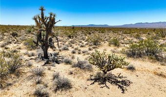 606 D S Billy The Kid Rd, Yucca, AZ 86438