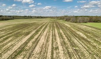 15 Acres Antioch Church Rd, Ashford, AL 36312